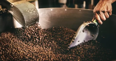Top 7 Different Coffee Beans In The World