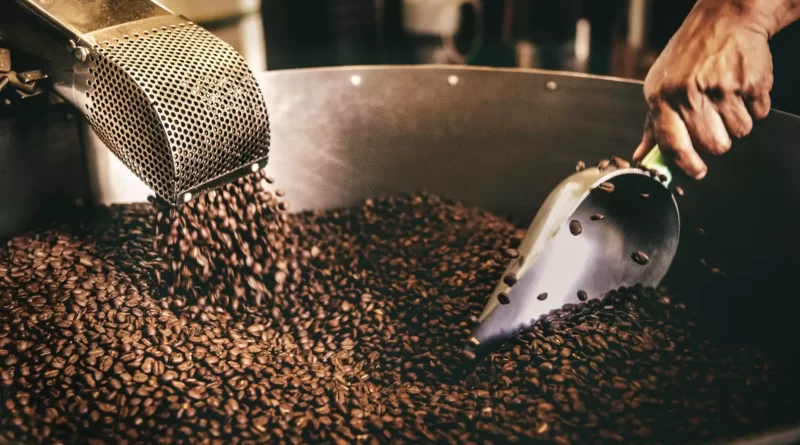 Top 7 Different Coffee Beans In The World